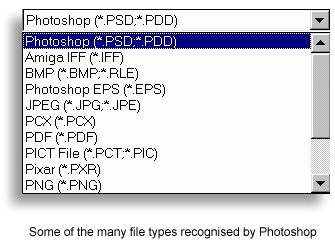 file_type.gif (10541 bytes)