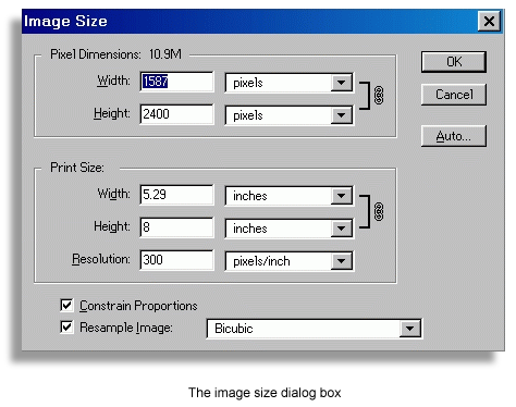 size.gif (22854 bytes)
